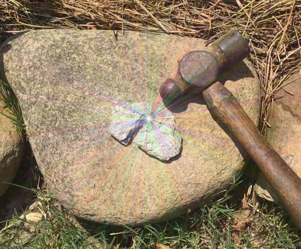 1960 Memories and “Wild” Book Review