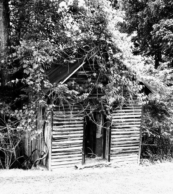 20120906 Rain: A Poem