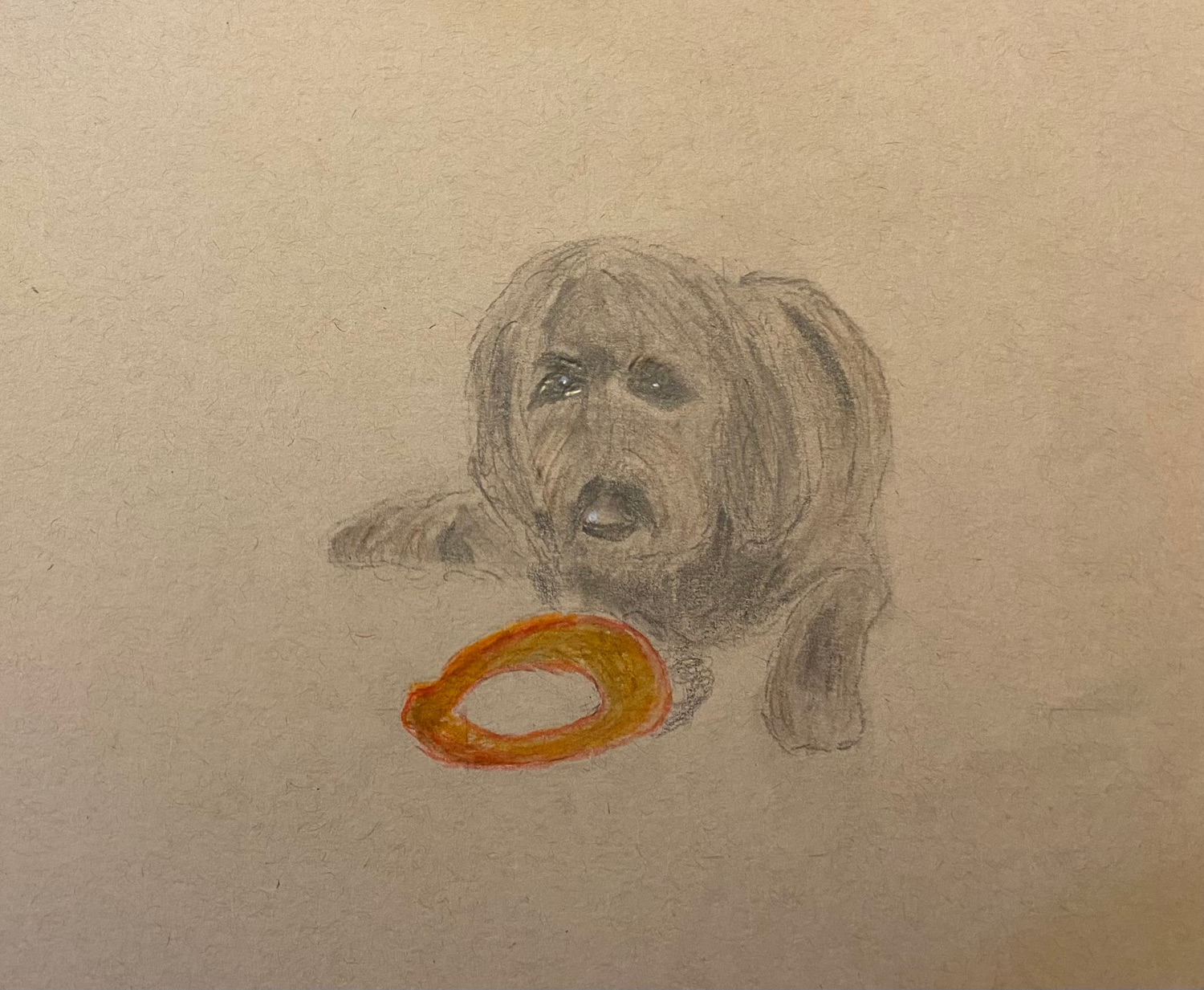 Charcoal Practice 2026-03-04