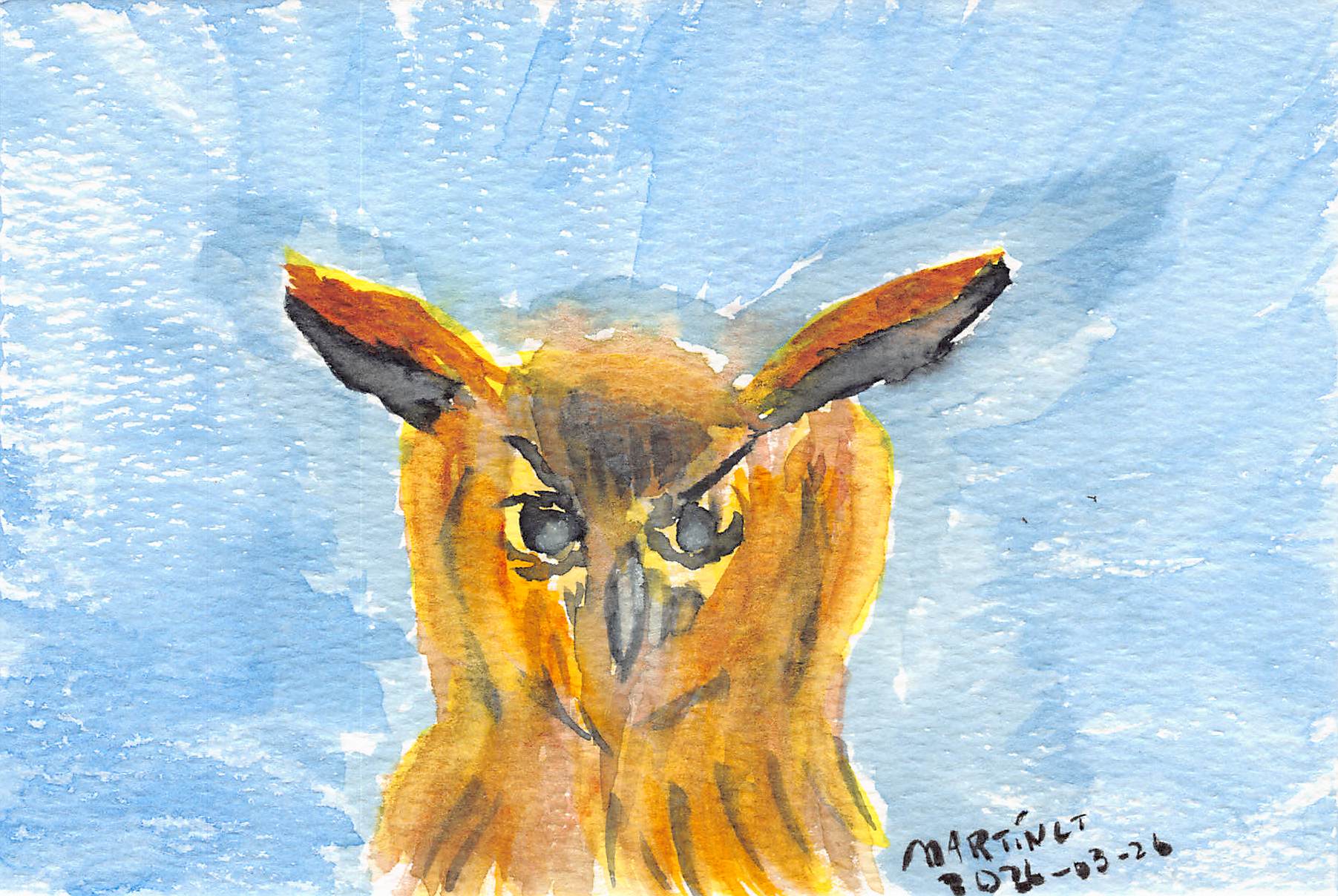 First Attempt for Owl