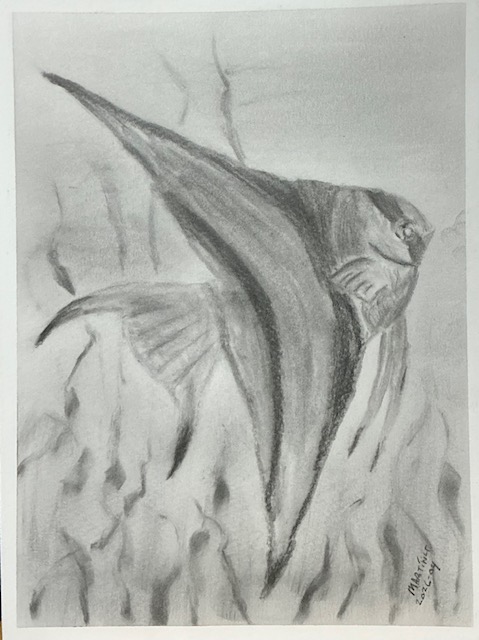 My 2nd Charcoal 2026-04-24